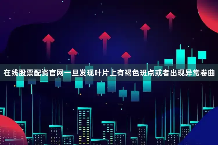 在线股票配资官网一旦发现叶片上有褐色斑点或者出现异常卷曲