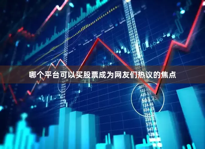 哪个平台可以买股票成为网友们热议的焦点