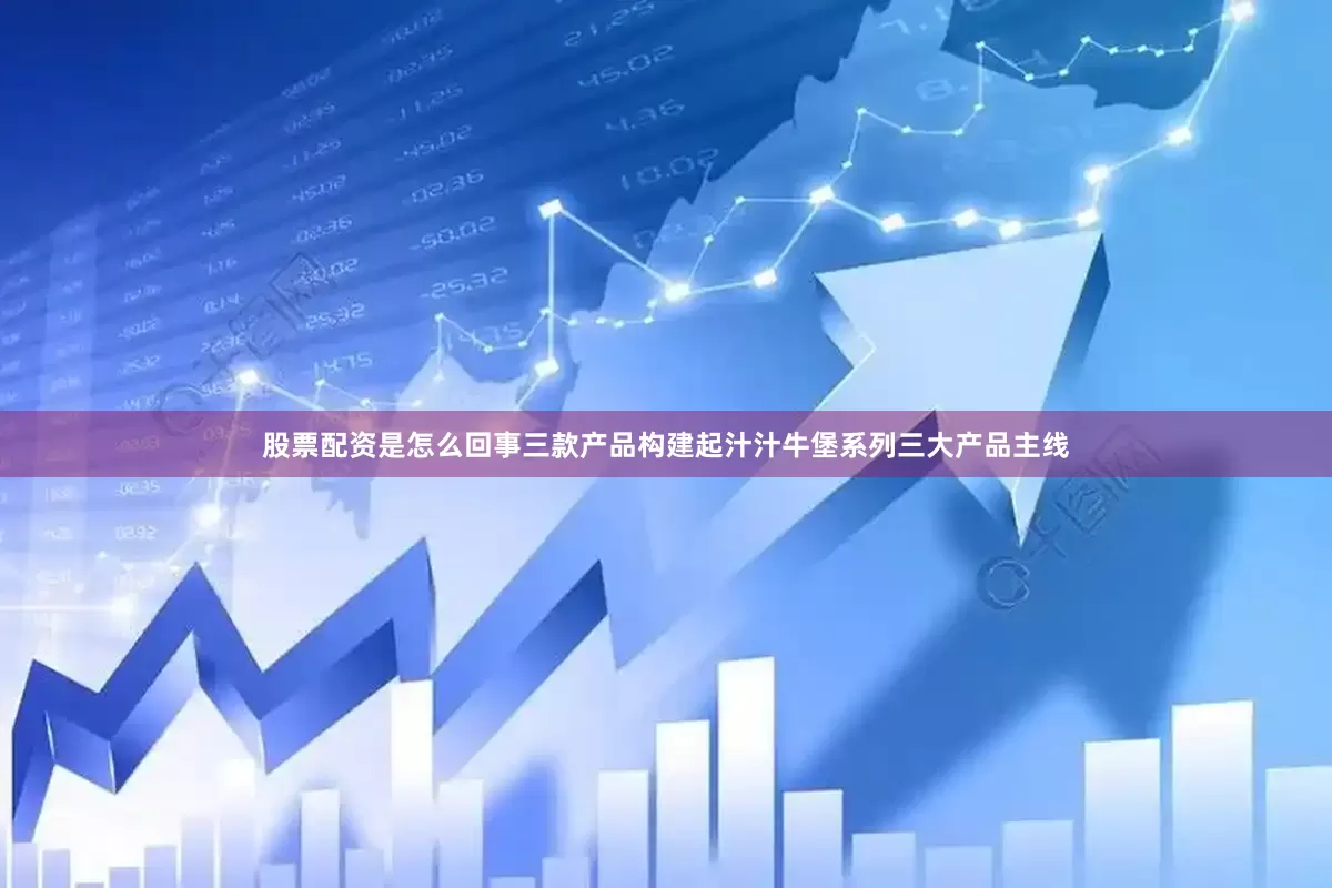 股票配资是怎么回事三款产品构建起汁汁牛堡系列三大产品主线
